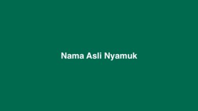 Nama Asli Nyamuk