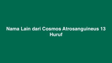 Nama Lain dari Cosmos Atrosanguineus 13 Huruf