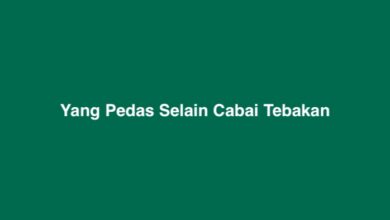 Yang Pedas Selain Cabai Tebakan