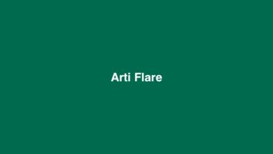 Arti Flare