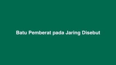 Batu Pemberat pada Jaring Disebut