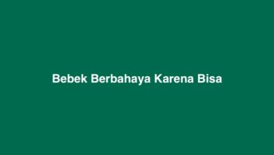 Bebek Berbahaya Karena Bisa