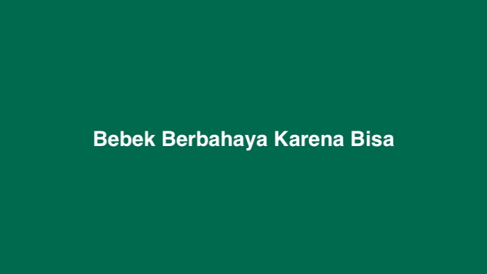 Bebek Berbahaya Karena Bisa