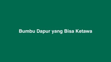 Bumbu Dapur yang Bisa Ketawa