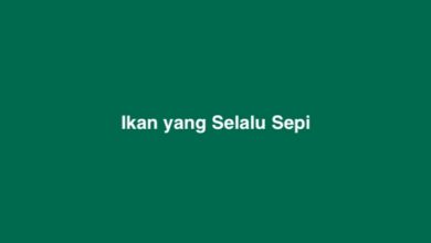 Ikan yang Selalu Sepi