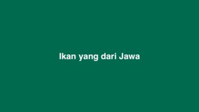 Ikan yang dari Jawa