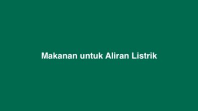 Makanan untuk Aliran Listrik