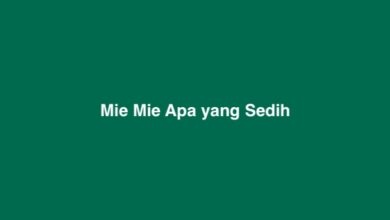 Mie Mie Apa yang Sedih