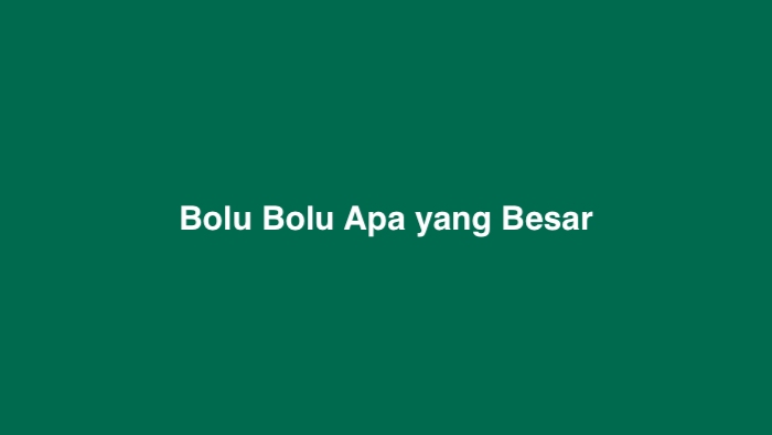 Bolu Bolu Apa yang Besar