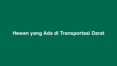 Hewan yang Ada di Transportasi Darat