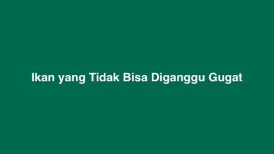 Ikan yang Tidak Bisa Diganggu Gugat