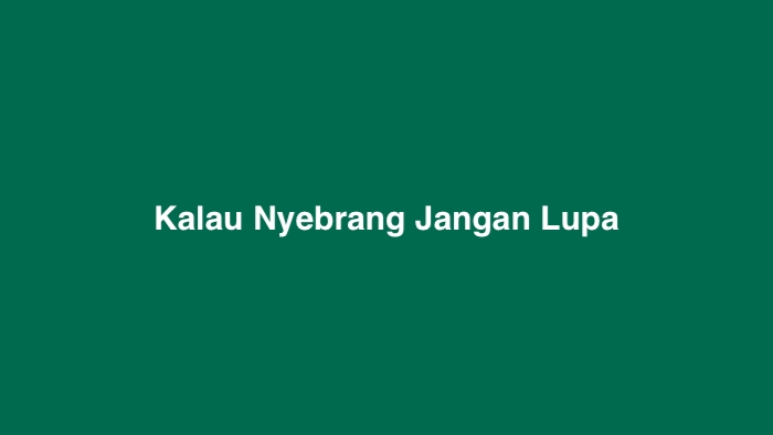 Kalau Nyebrang Jangan Lupa