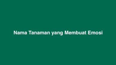 Nama Tanaman yang Membuat Emosi