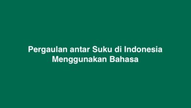 Pergaulan antar Suku di Indonesia Menggunakan Bahasa