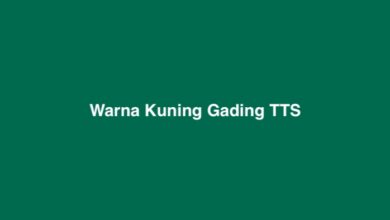 Warna Kuning Gading TTS