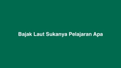 Bajak Laut Sukanya Pelajaran Apa