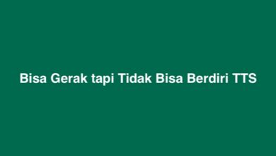 Bisa Gerak tapi Tidak Bisa Berdiri TTS