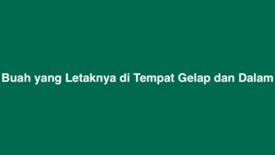 Buah yang Letaknya di Tempat Gelap dan Dalam