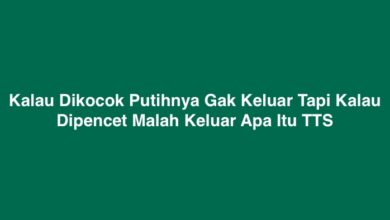 Kalau Dikocok Putihnya Gak Keluar Tapi Kalau Dipencet Malah Keluar Apa Itu TTS