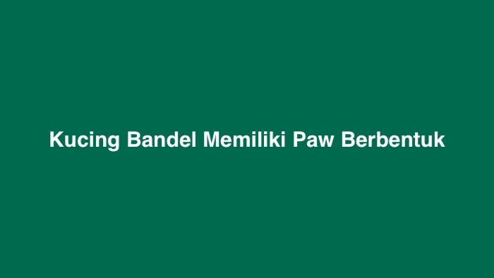 Kucing Bandel Memiliki Paw Berbentuk