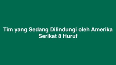 Tim yang Sedang Dilindungi oleh Amerika Serikat 8 Huruf