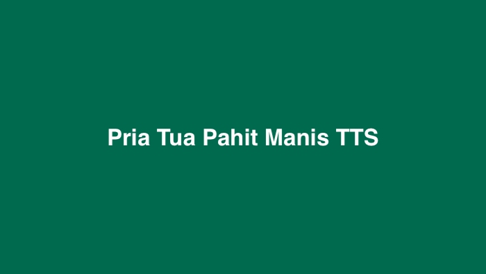 Pria Tua Pahit Manis TTS