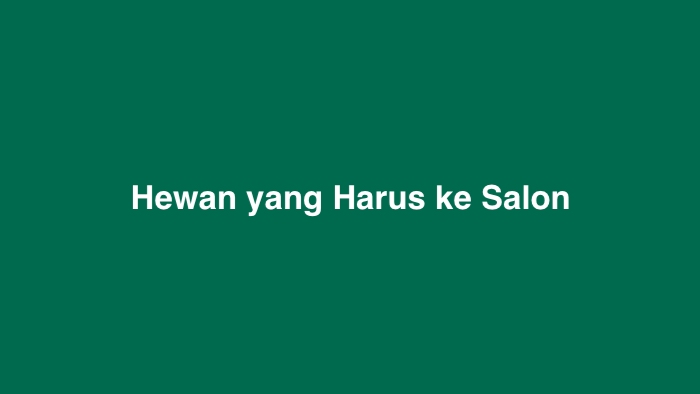 Hewan yang Harus ke Salon