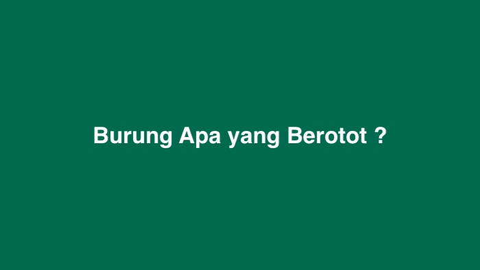 Burung Apa yang Berotot Atletis