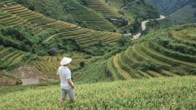 Jelaskan Faktor yang Menyebabkan Perubahan Potensi Sumber Daya Alam