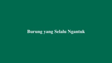 Burung yang Selalu Ngantuk