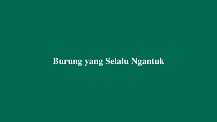 Burung yang Selalu Ngantuk