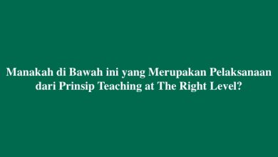 Manakah di Bawah ini yang Merupakan Pelaksanaan dari Prinsip Teaching at The Right Level